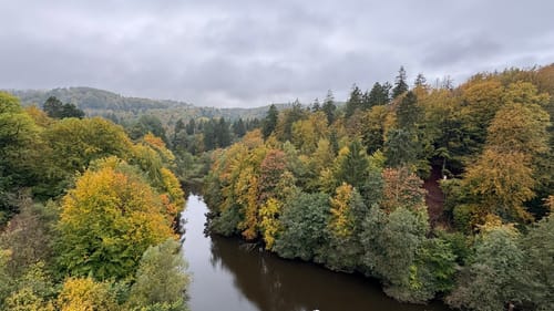 Externsteinen und Falkenburg Rundwanderung