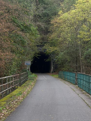 Nette-Schieferpfad (Traumpfad)