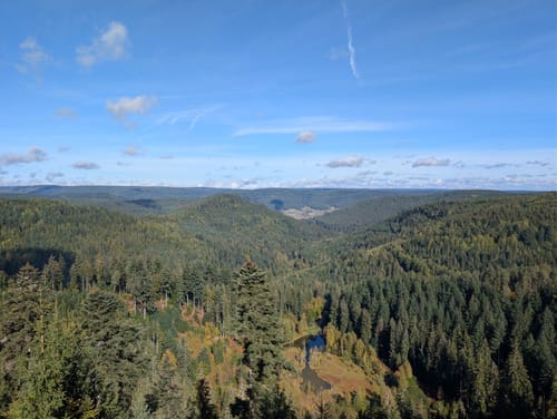 Kniebiser Heimatpfad (Genießerpfad)
