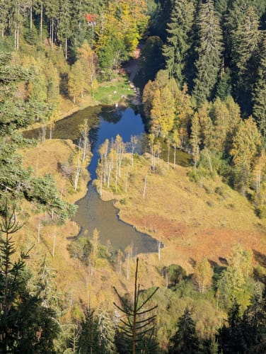 Kniebiser Heimatpfad (Genießerpfad)