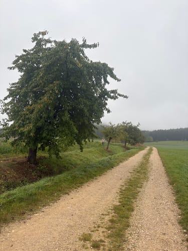 Thalmässing 4 : Premiumwanderweg Jurakante