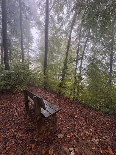 Thalmässing 4 : Premiumwanderweg Jurakante
