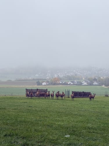 Thalmässing 4 : Premiumwanderweg Jurakante