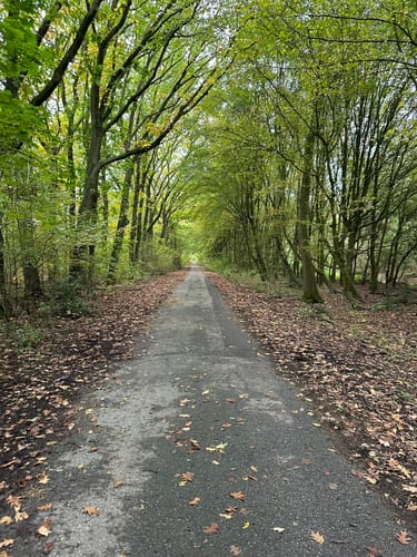 Schöttelhaldenrunde