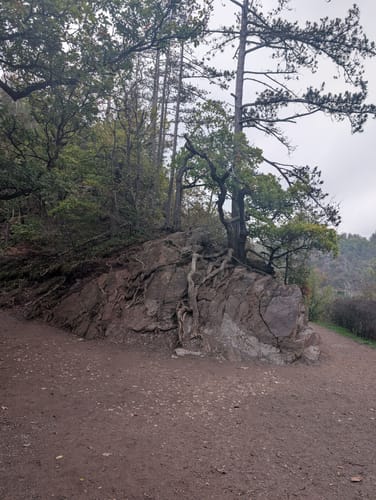 Eltzer Burgpanorama (Traumpfad)