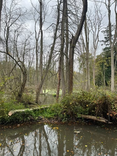 An der Rur bei Barmen