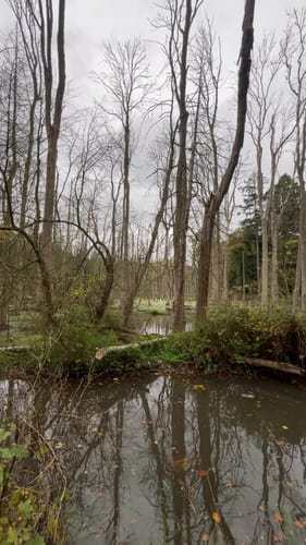 An der Rur bei Barmen