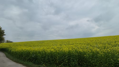Fürholzen - Massenhausen - Hetzenhausen