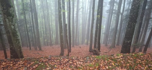 Zweribachfälle und Hirschbachfälle