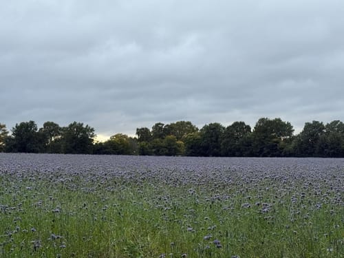 Rundweg durch die Gemeinden Kisdorf und Winsen