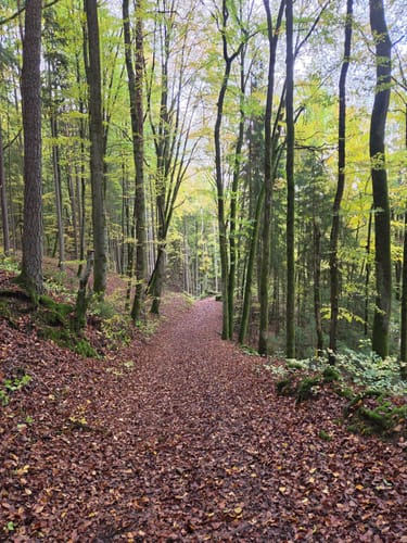Gößweinstein - Pottenstein - Schleife über Tüchersfeld