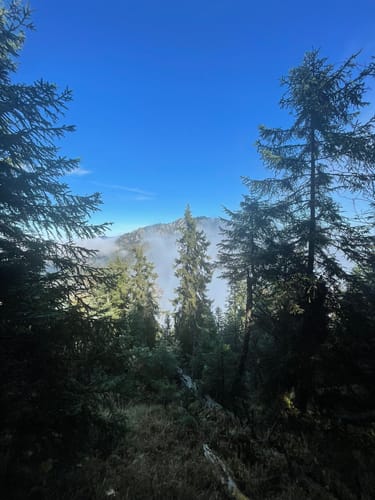 Notkarspitze