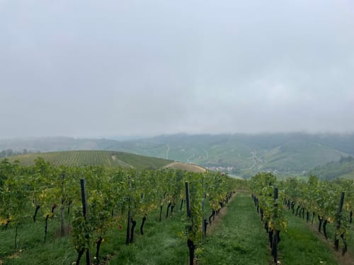 Durbacher Weitblick (Premiumwanderweg)