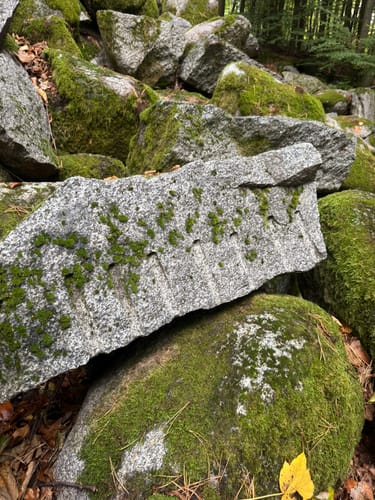 Großer Felsenmeerweg