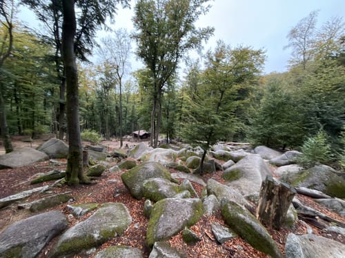 Großer Felsenmeerweg