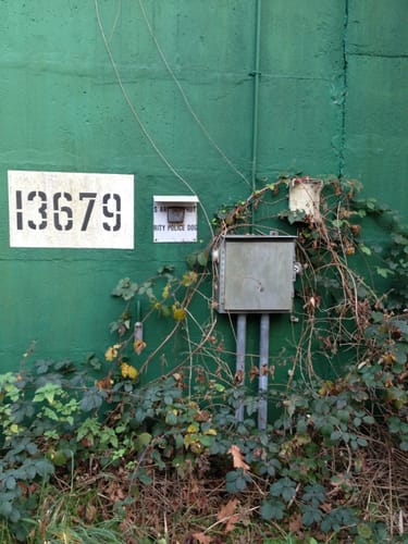 Entlang dem Ranschgraben im Schifferstadter Wald