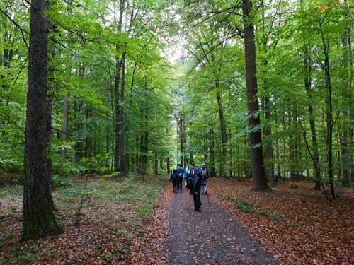 Neckarsteig Etappe 1: Heidelberg - Neckargemünd