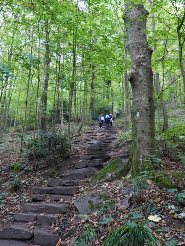 Neckarsteig Etappe 1: Heidelberg - Neckargemünd