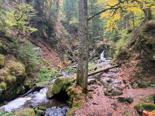 Hinterzarten und Ravennaschlucht