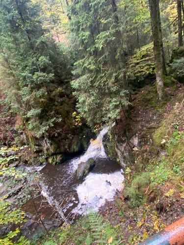 Hinterzarten und Ravennaschlucht