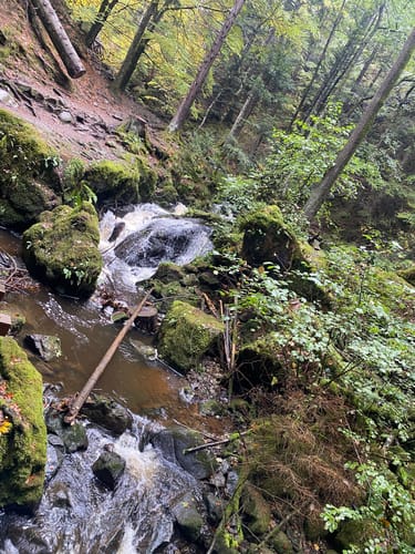 Hinterzarten und Ravennaschlucht