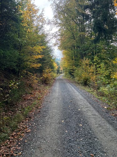 Auf den Ettelsberg ab Willingen