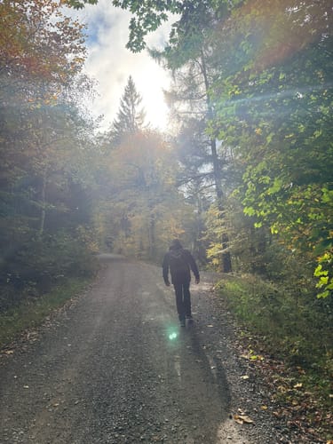 Auf den Ettelsberg ab Willingen