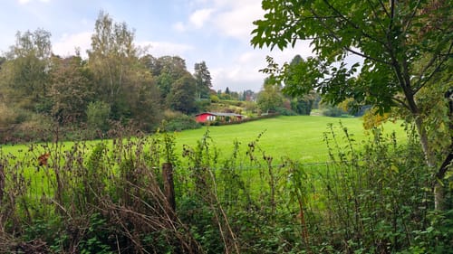 Gerresheim: Rotthäuser Bachtal