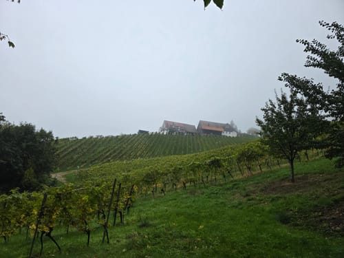 Alde Gott Panoramarunde (Genießerpfad)