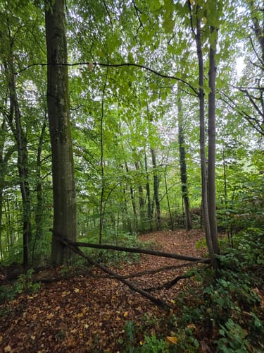 Alde Gott Panoramarunde (Genießerpfad)