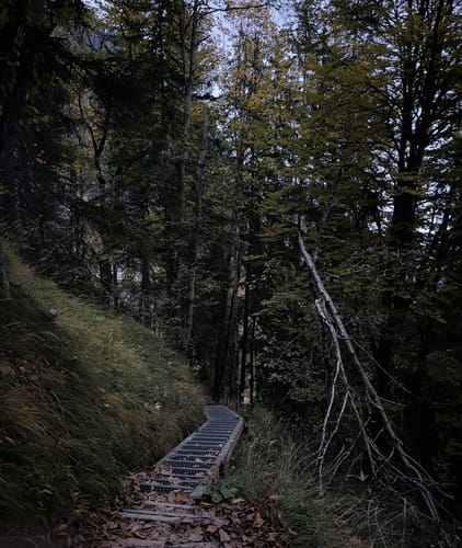 Rinnkendl-Steig