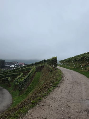Alde Gott Panoramarunde (Genießerpfad)