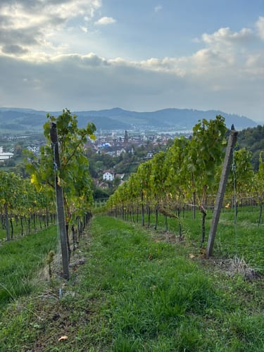 Gengenbach - Teufelskanzel - Abtsberg