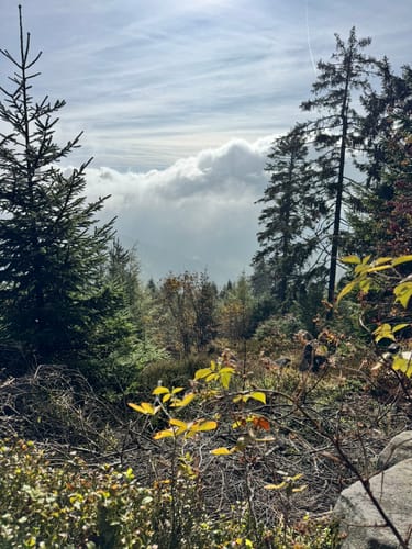 Rund um die Hornisgrinde