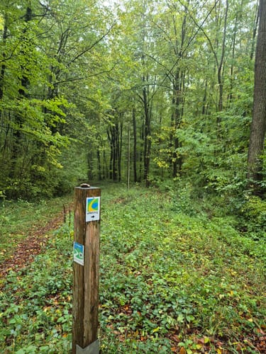 Eifelsteig Etappe 6: Steinfeld - Blankenheim