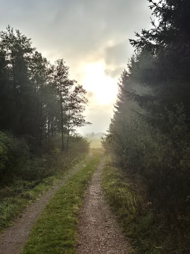 Eifelsteig Etappe 6: Steinfeld - Blankenheim