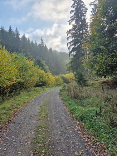 Eifelsteig Etappe 6: Steinfeld - Blankenheim