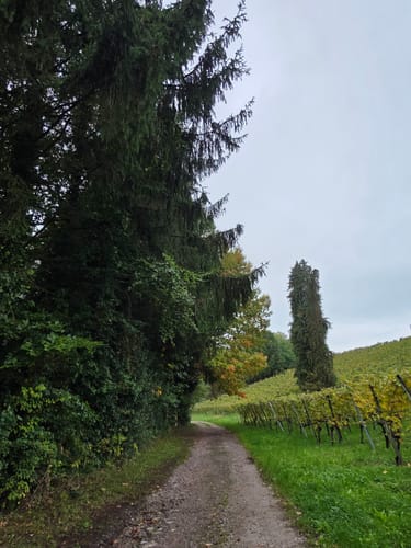 Alde Gott Panoramarunde (Genießerpfad)