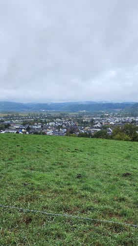 Moselsteig Etappe 6: Schweich - Mehring