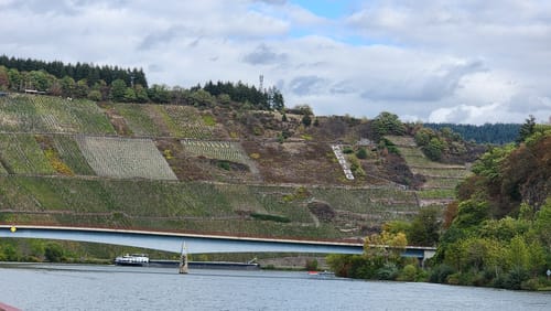 Moselsteig Etappe 6: Schweich - Mehring