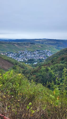 Moselsteig Etappe 9: Neumagen-Dhron - Monzel
