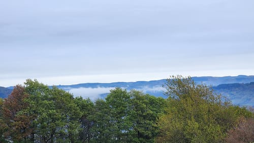Moselsteig Etappe 9: Neumagen-Dhron - Monzel