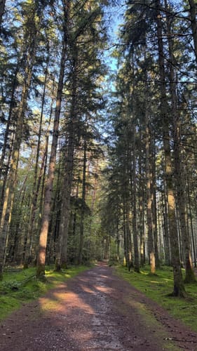 Schlossbergtour (Premiumwanderweg)