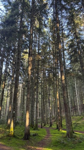Schlossbergtour (Premiumwanderweg)
