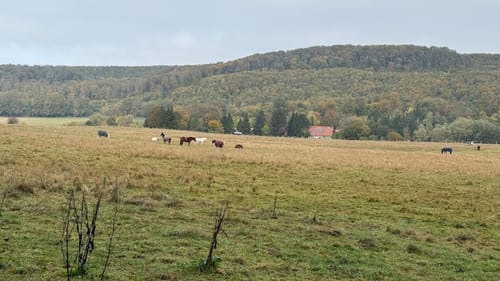 Durch das Reitlingstal