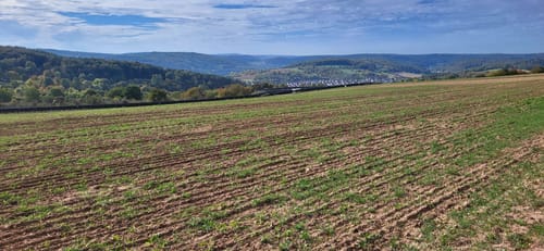 Rundweg An der Kreuzstraße 2 : Scherder-Weg