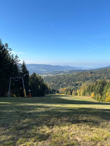 Um Riedlberg