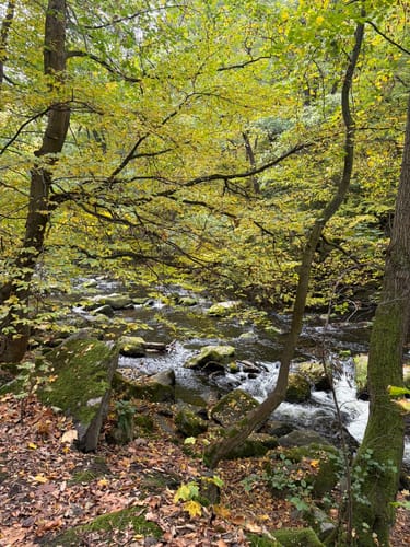 Bülowhöhe - Rosstrappe - Goethe-Felsen