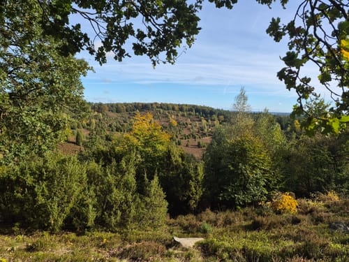 Undeloh Rundweg