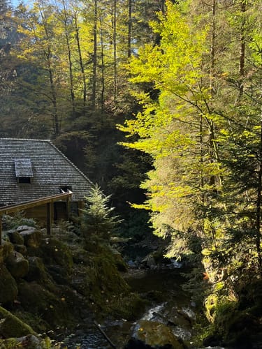 Hinterzarten und Ravennaschlucht
